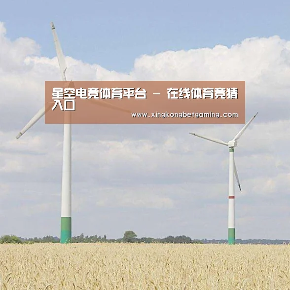 风能