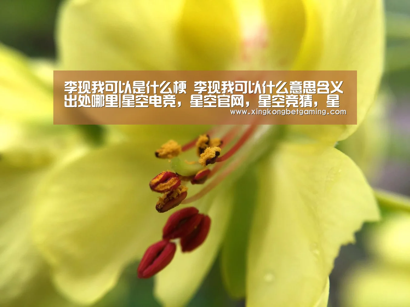 李现我可以是什么梗 李现我可以什么意思含义出处哪里|星空电竞,星空官网,星空竞猜,星空下载(图2) 星空电竞,星空官网,星空竞猜,星空下载